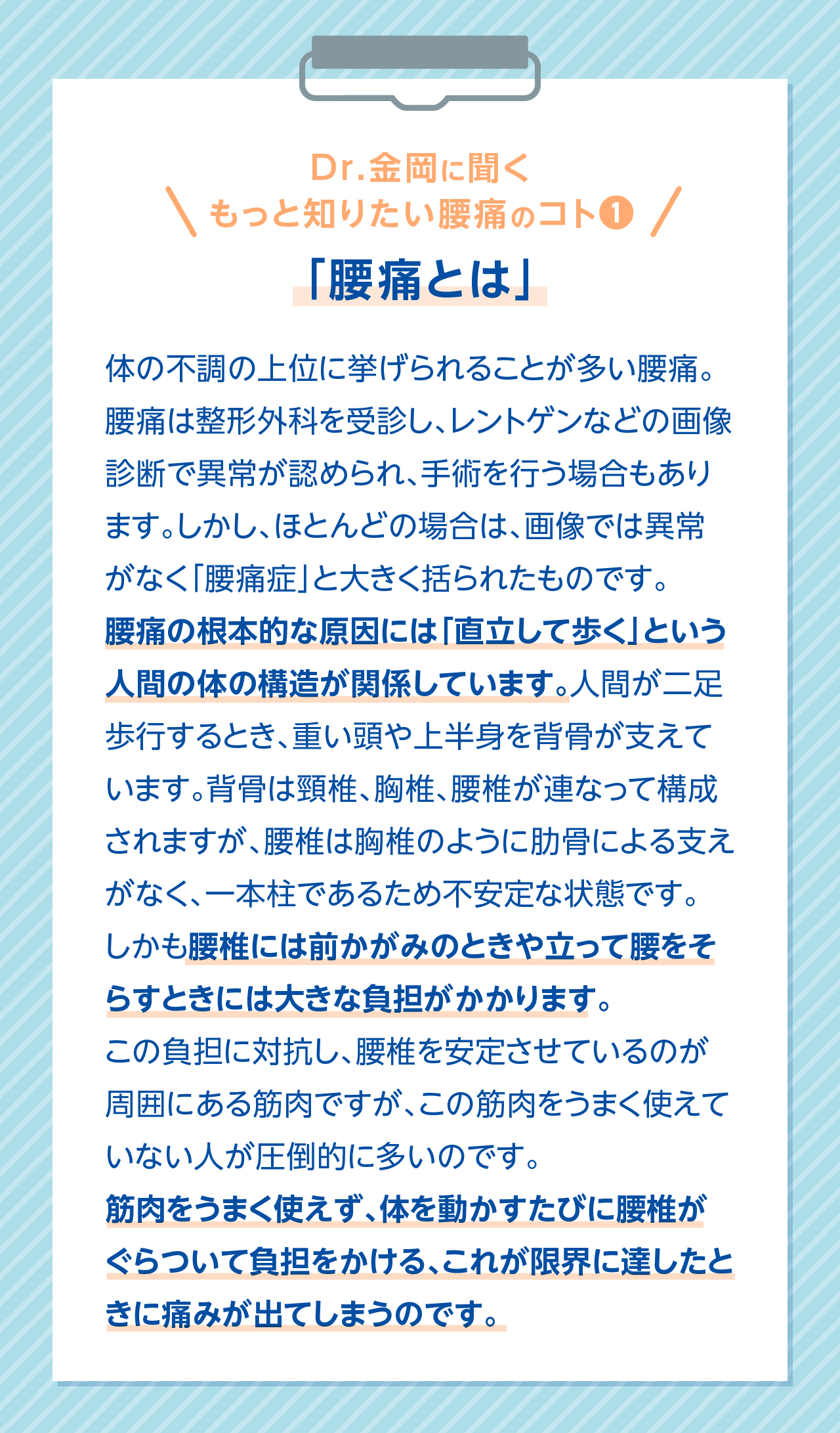 Dr.金岡に聞く もっと知りたい腰痛のコト 「腰痛とは」